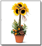 Sunflower Topiary