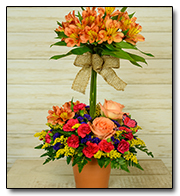 Alstroemeria Topiary
