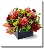 Protea Garden