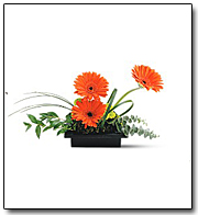 Zen Gerbera Bowl